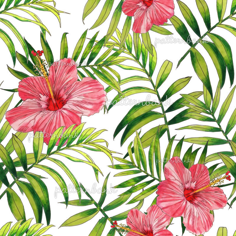 CLJL0014 Hand Drawn Palm Leaves With Hibiscus. by Christine Lara ...